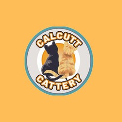 Calcutt Farm Ltd: Superior Cattery Service in Northamptonshire 