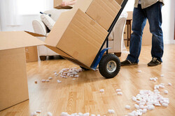House Removal Made Easy in London With Plaza Removals thumb-127883
