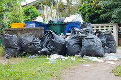Waste Removal Services in Hampshire | 1Clean Services