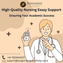 High-Quality Nursing Essay Support: Ensuring Your Academic Success
