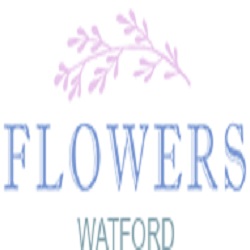 Flowers Watford  0