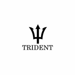 Trident Pumps - Your Premier Choice for Commercial Pumps in Sheffield