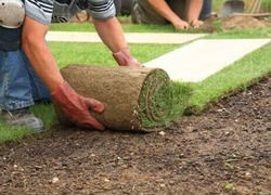 Garden & House Maintenance-Garden & Landscaping Services