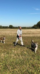 Dog Walking and Boarding Services