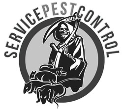 Pest Control Service in North London