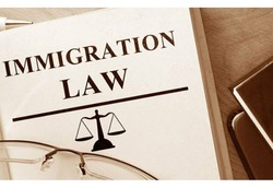 Best Immigration & Asylum Solicitors/Lawyers