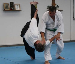Aikido Martial Art thumb-42955