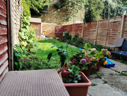Lovely 3 Bedroom House With Garden