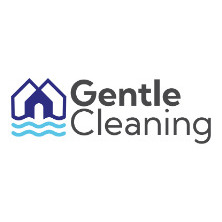 Gentle Roof Cleaning