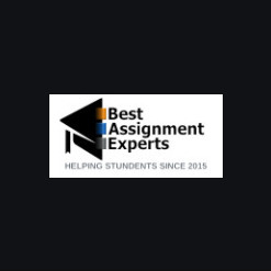 Best Assignment Experts
