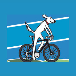 Salt Dog Cycling